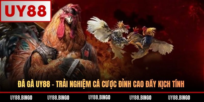 Đá Gà UY88 - Trải Nghiệm Cá Cược Đỉnh Cao Đầy Kịch Tính