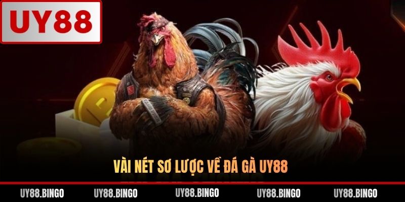 Vài nét sơ lược về đá gà UY88